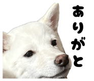 834780891