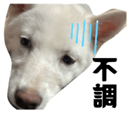 834780905
