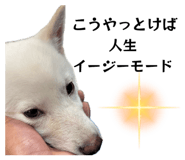 834780913