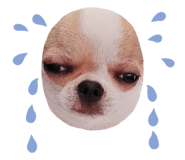 834782927