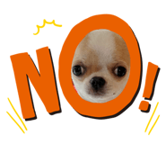 834782928
