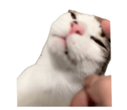 834783175