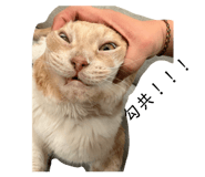 834783240