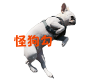 834786027