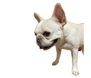 834786028