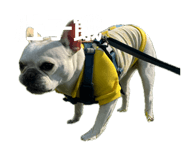 834786032