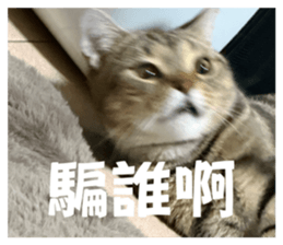 834786248