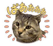 834797247