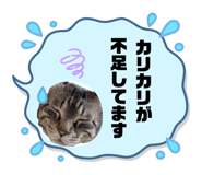 834797248