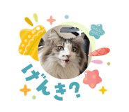 834799536