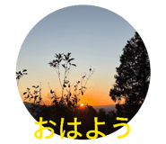 834814082