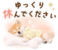 834816263
