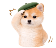 834816265