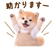 834816271