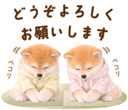 834816273