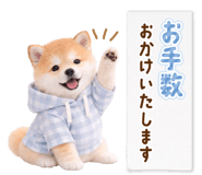 834816275