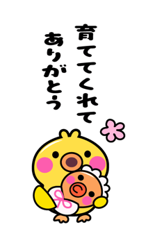 834820255
