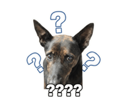 834825707