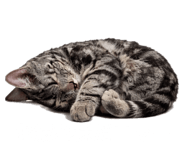 834827691