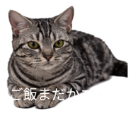 834827693