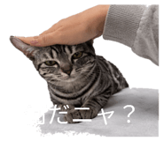 834827694