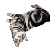 834827696