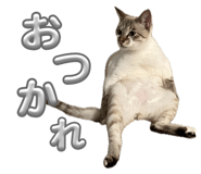 834830084