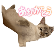 834830088