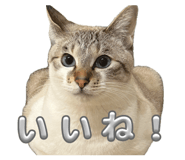 834830091
