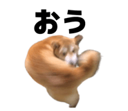 834856681