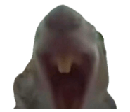 834856687