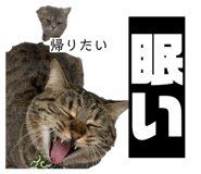 834858688