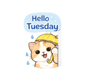 834863941