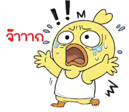 ลายที่ 15