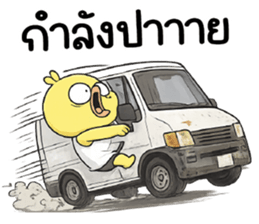 ลายที่ 19