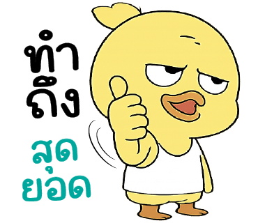 ลายที่ 13