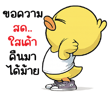 ลายที่ 23