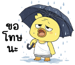 ลายที่ 47