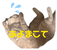 834871009