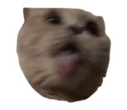 834871011