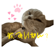 834871013