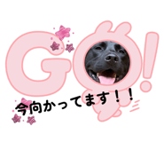 834873139