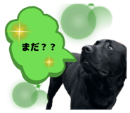 834873142