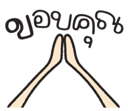 ลายที่ 31