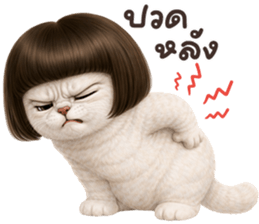 ❤️เหมียวขาว ม้าเต่อ❤️ รูปที่ 5