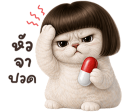 ❤️เหมียวขาว ม้าเต่อ❤️ รูปที่ 10