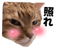 834886927
