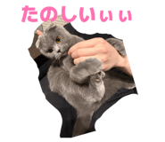 834890330
