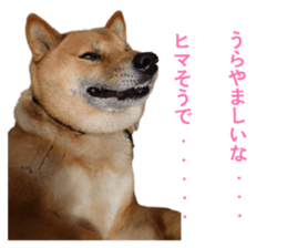 834893925