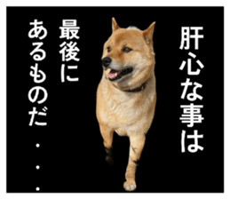 834893926